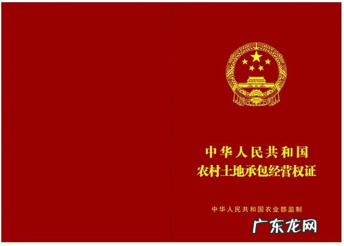 内附样表图 种植合作社土地证明怎么写