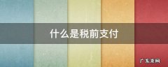 什么是税前支付