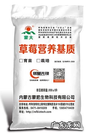 1个原理,2个技术,轻松解决 基质蔬菜怎么种植