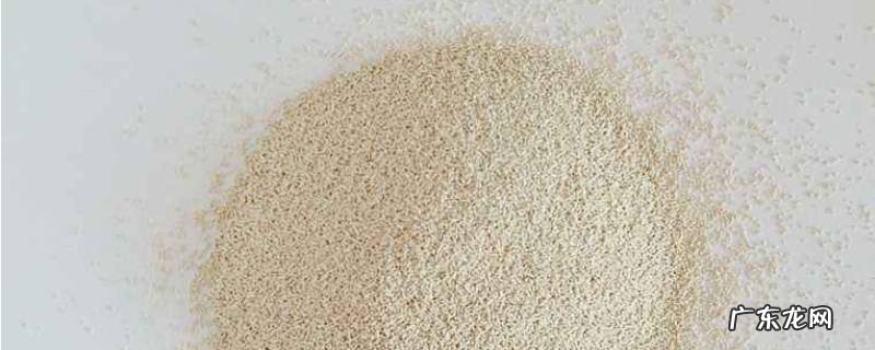 酵母粉打开多久后就不能用了,酵母粉打开一段时间后还可以用吗