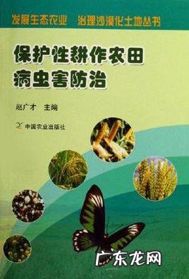 发财树买回来这样做 刚收的招财树怎么种植
