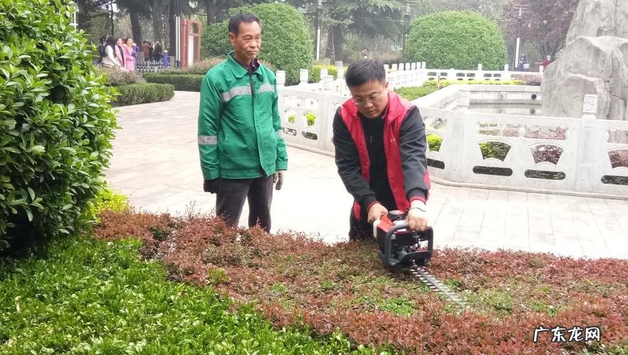 养殖的方法都在这里,只说重点 绣球花怎么种植和管理