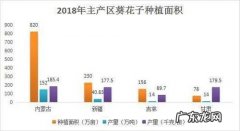 西昌打造小香葱基地 香葱种植基地怎么找
