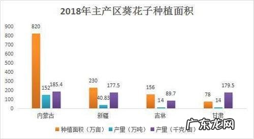 西昌打造小香葱基地 香葱种植基地怎么找