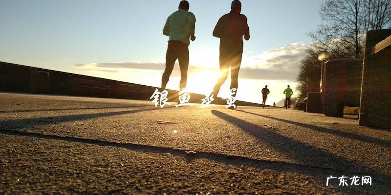 家常银鱼做法大全，让你轻松掌握美味技巧！