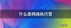 什么是网络执行官