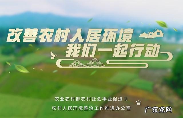 看看这个老板是这样做的 怎么做生态种植养殖