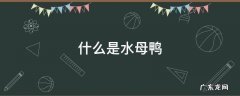 什么是水母鸭