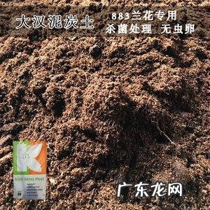 养花高手教你在室内养好“彩色仙人球” 泥炭土如何种植仙人球