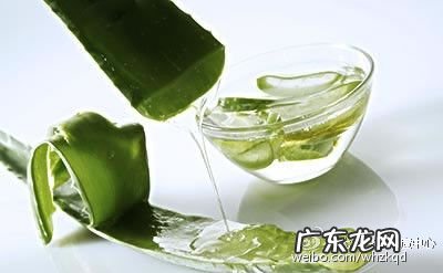 养盆“芦荟”在家中 家庭种植芦荟怎么吃