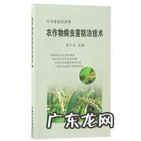 春天常吃这种“绿叶菜” 荆芥种子怎么种植