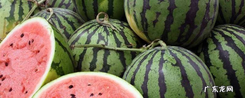 怎么分辨西瓜有没有成熟,怎么辨别西瓜有没有成熟