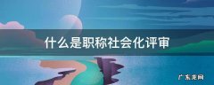 什么是职称社会化评审