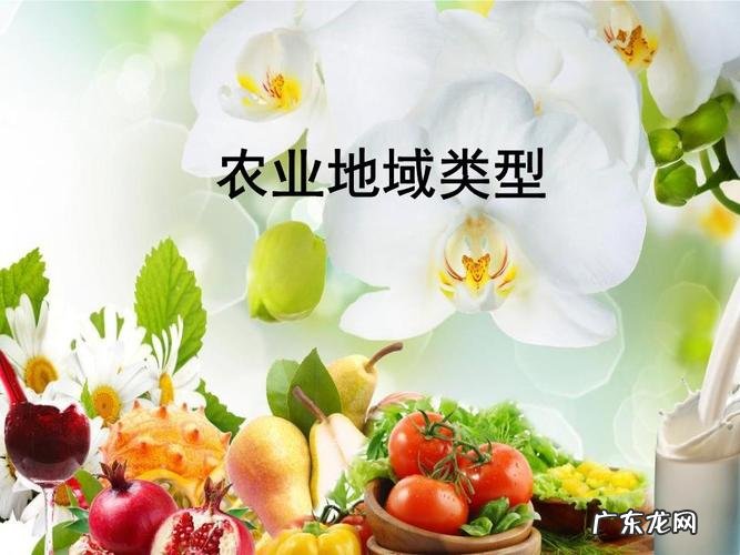 小花菇撑开了致富梦 种植花菇利润如何