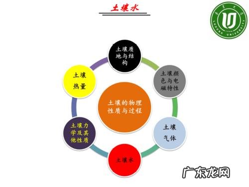 看完你就明白 圆葱怎么种植方法视频