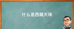 什么是西藏天珠