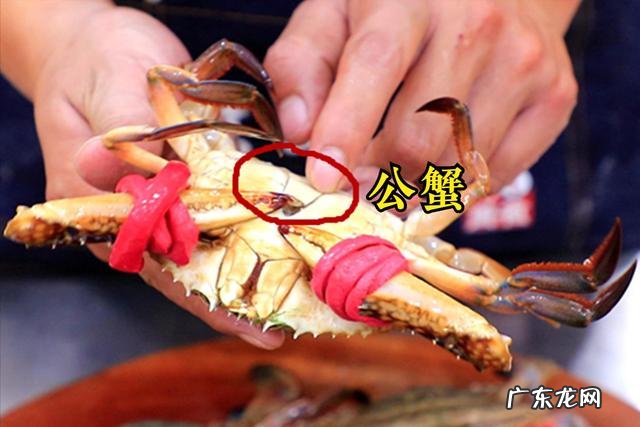 简单几招让你轻松避坑 怎么挑电脑笔记本电脑