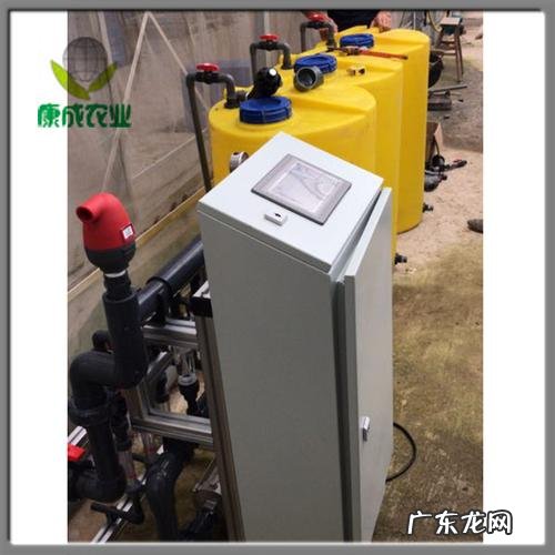 葡萄果树抹芽摘心管理正当时 葡萄果芽怎么种植