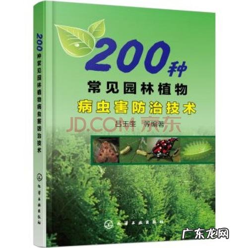 切块生姜放水里 怎么种植生姜最好