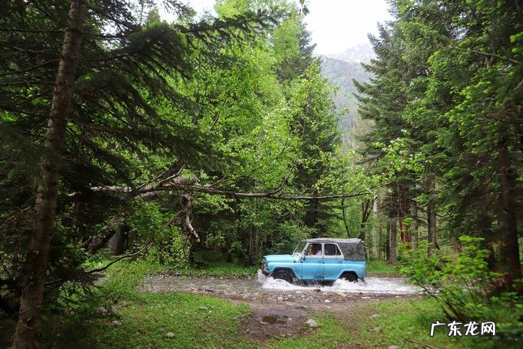 水果玉米的种植技术 如何使用种植营养盘