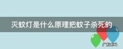 灭蚊灯是什么原理把蚊子杀死的,灭蚊灯的工作原理是什么