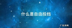 什么是自由投档