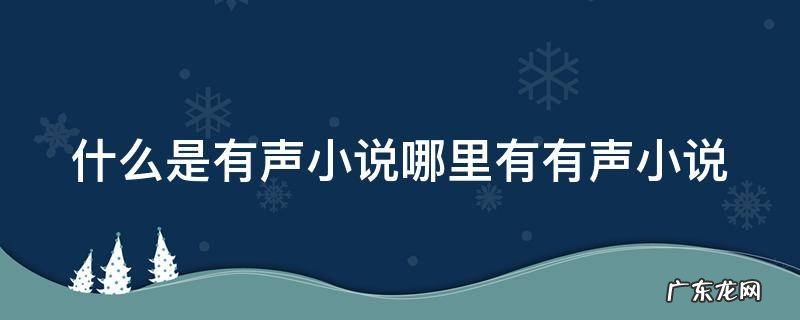 什么是有声小说哪里有有声小说