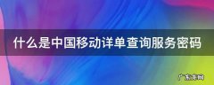 什么是中国移动详单查询服务密码