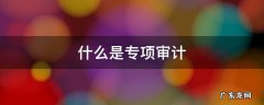 什么是专项审计