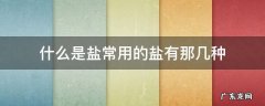 什么是盐常用的盐有那几种