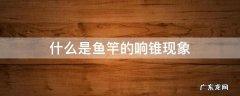 什么是鱼竿的响锥现象