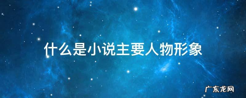 什么是小说主要人物形象