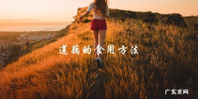 简单又美味的莲藕料理：让你轻松掌握的做法！