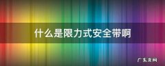 什么是限力式安全带啊
