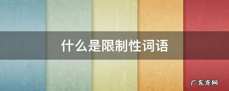 什么是限制性词语