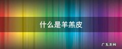 什么是羊羔皮