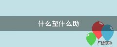 什么望什么助