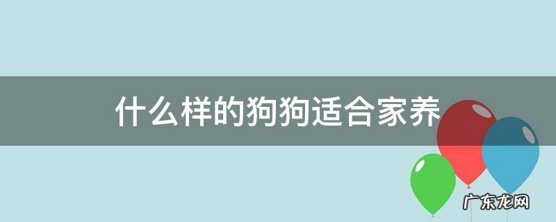 什么样的狗狗适合家养