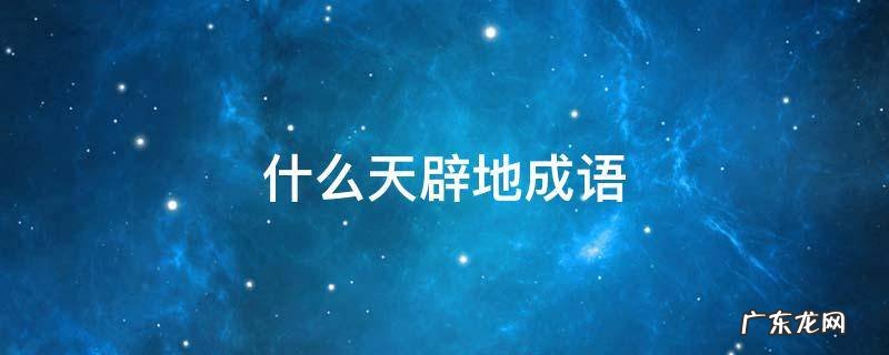 什么天辟地成语