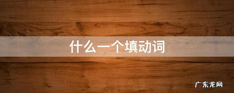 什么一个填动词