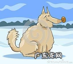 主人风雪中遇难 羊被冻死牧羊犬试图唤醒贴身取暖