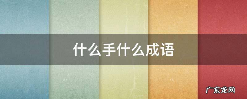 什么手什么成语