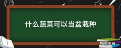 什么蔬菜可以当盆栽种
