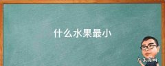 什么水果最小