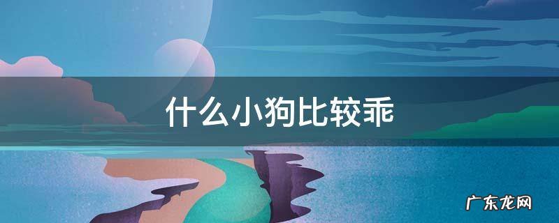 什么小狗比较乖