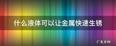 什么液体可以让金属快速生锈