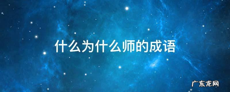 什么为什么师的成语