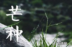 2023年芒种古诗,芒种节气古诗