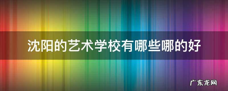 沈阳的艺术学校有哪些哪的好