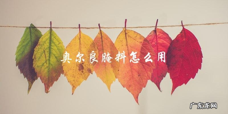 奥尔良腌料的使用方法大